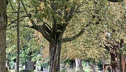 Day 31: a ghost story for All Hallows' Eve