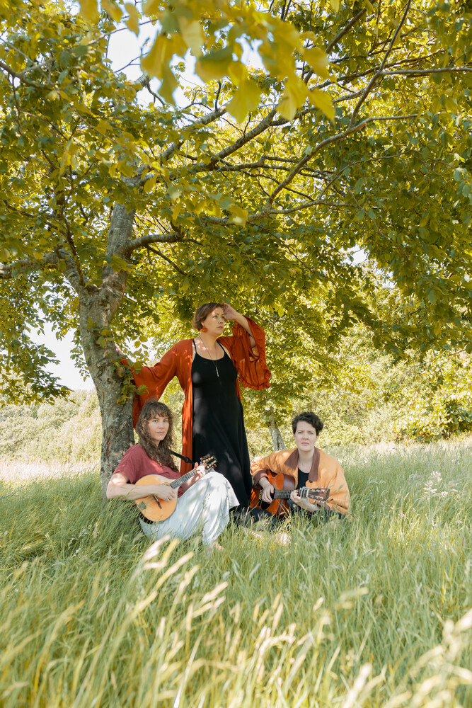 Live music at the Tree House: MAAR